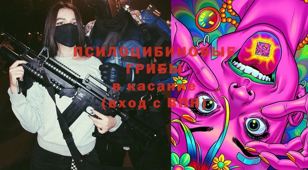 a pvp Баксан