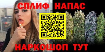 индика Гагарин