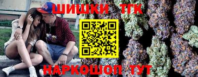 индика Гагарин