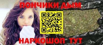 индика Гагарин