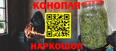 индика Гагарин
