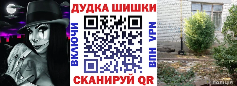 закладка  hydra вход  Каннабис сатива  Ногинск 